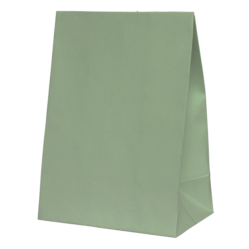 Paper Party Bags - Eucalyptus x10