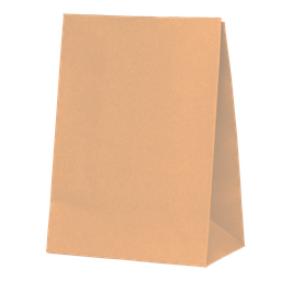 Paper Party Bags - Peach x10