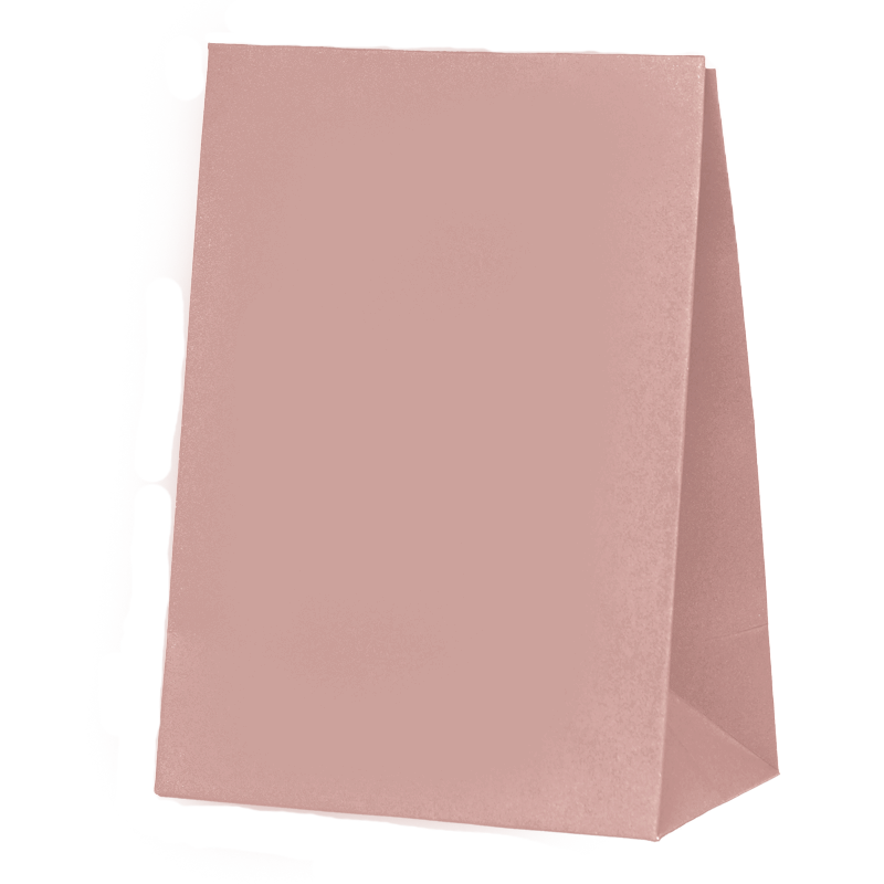 Paper Party Bags - Rose x10