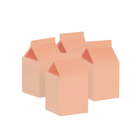 Pastel Peach Milk Carton x10