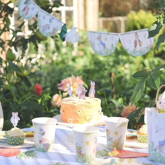 Peter Rabbit Party Bundle (8)
