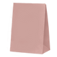 Paper Party Bags - Rose x10