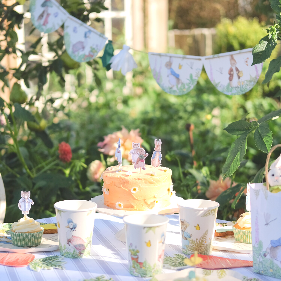 Peter Rabbit Party Bundle (8) – Soflopartyware